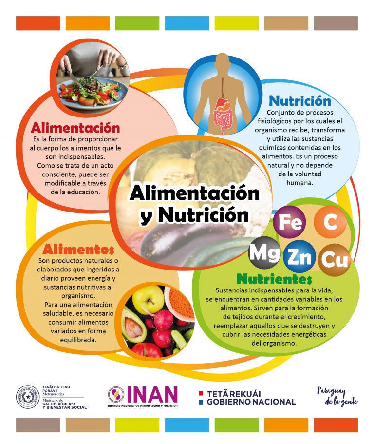 Conozcamos los conceptos de alimentaci n nutrici n alimentos y