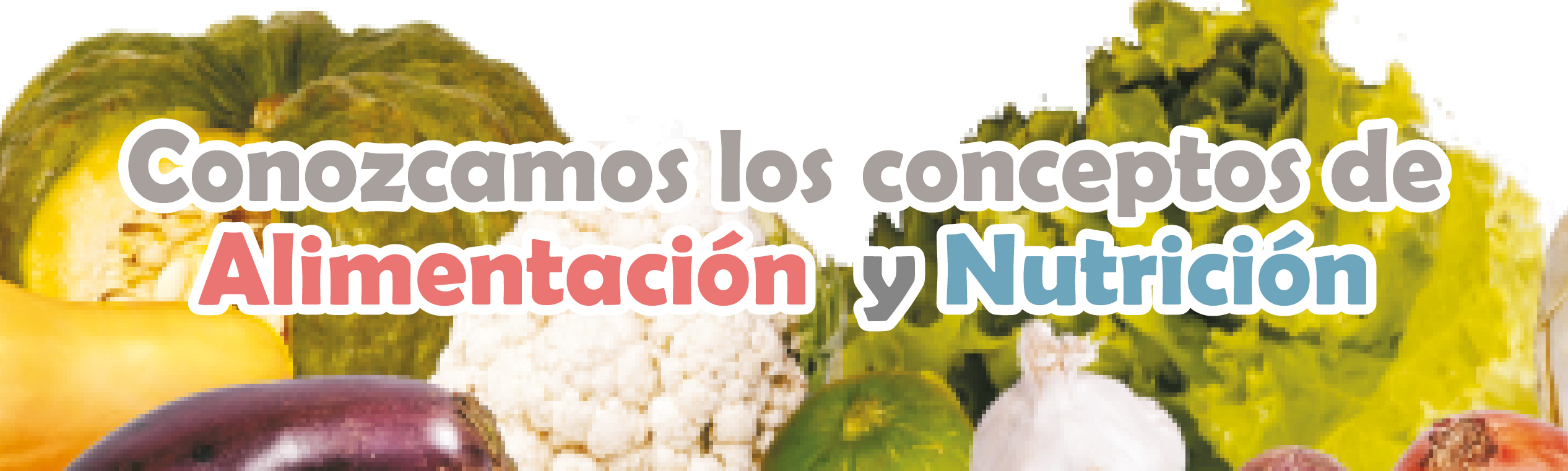 conozcamos-los-conceptos-de-alimentaci-n-nutrici-n-alimentos-y