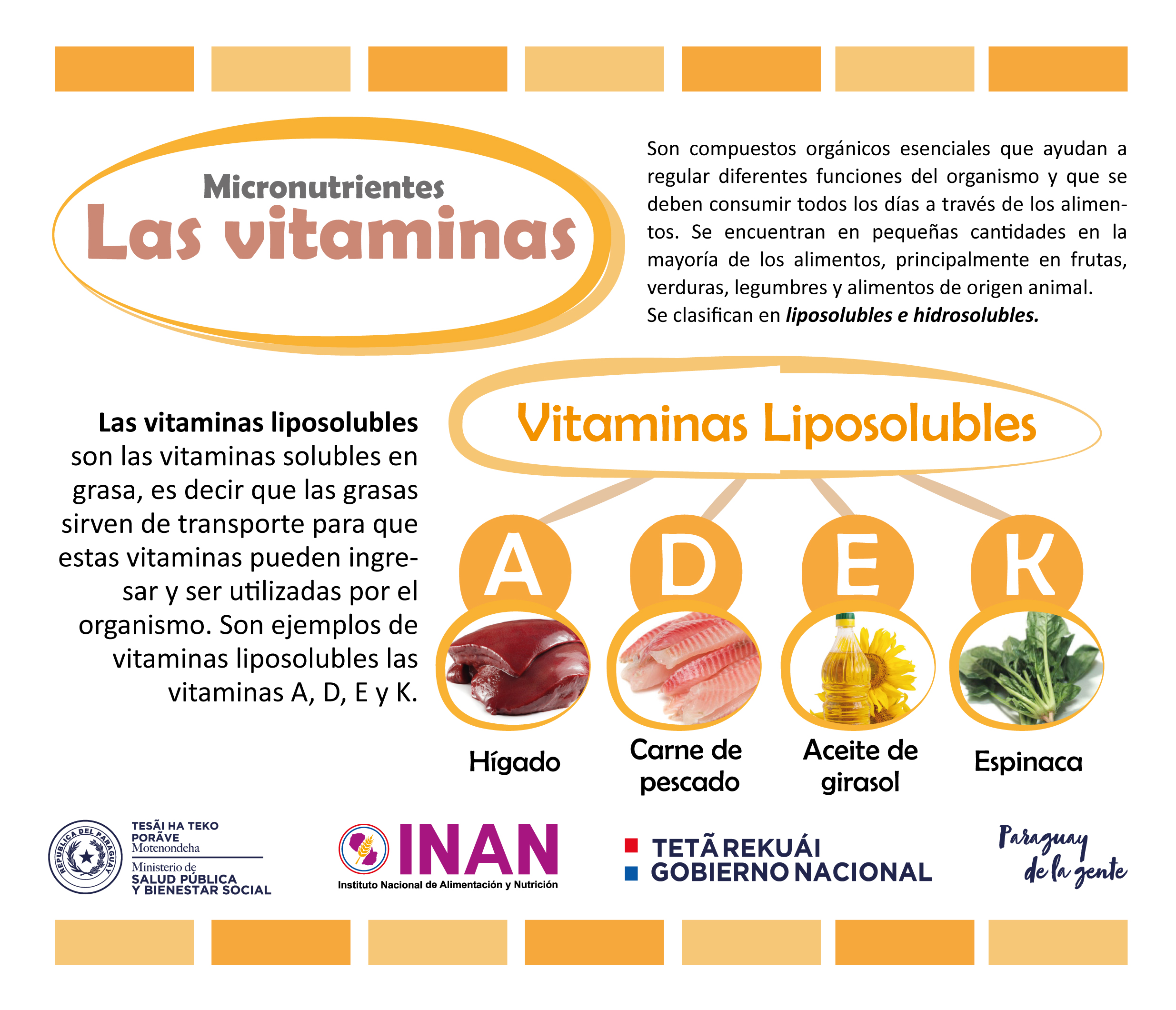 Las vitaminas liposolubles INAN